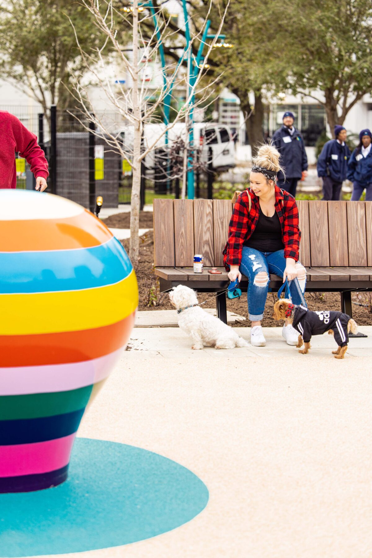 Woman with two dogs sitting on a park bench